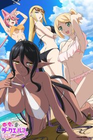 Chotto dake Ai ga Omoi Dark Elf ga Isekai kara Oikaketekita